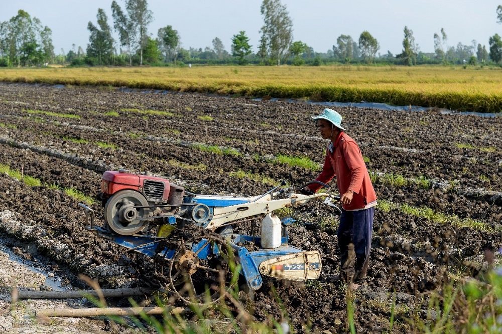 Bình ổn thị trường phân bón: cần kết hợp giải quyết về đầu ra nông sản?