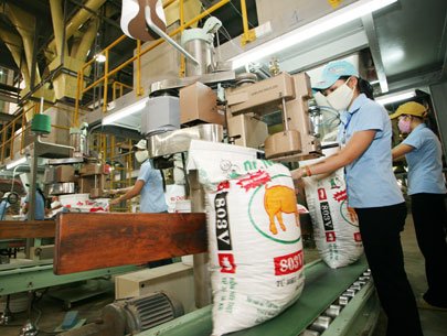 Xây nhà máy thức ăn gia súc tại Long An  