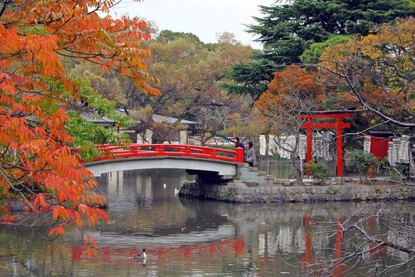 Khám phá Nhật Bản vào mùa Koyo là một trải nghiệm thật tuyệt vời. Điểm qua những địa điểm nổi tiếng và chiêm ngưỡng những khung cảnh lãng mạn thay đổi màu sắc của lá cây. Hãy xem qua bức ảnh này để trải nghiệm sự nổi bật và độc đáo của Nhật Bản vào mùa thu.