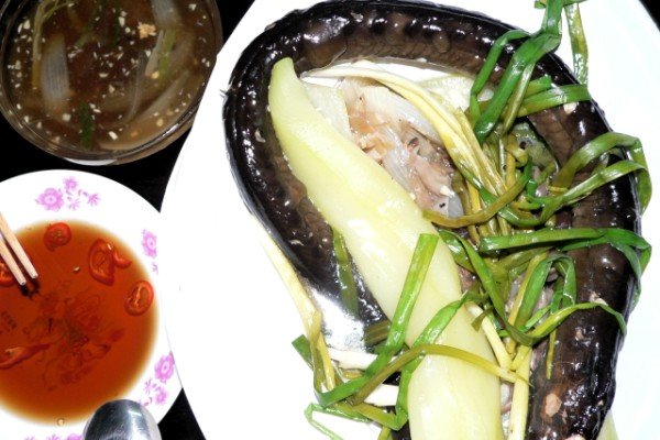 Lươn hấp bầu