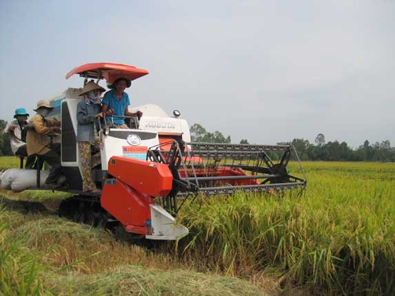 Indonesia dẫn đầu trong nhập khẩu gạo từ Việt Nam