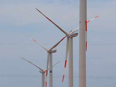 Một tỉ đô la phát triển điện gió tại ĐBSCL