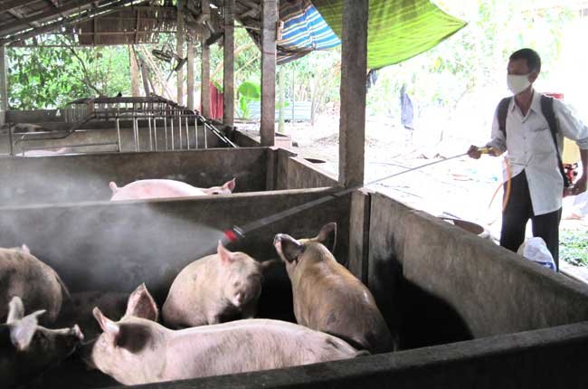 Cục Chăn nuôi: Không nên lo ngại thịt nhập khẩu