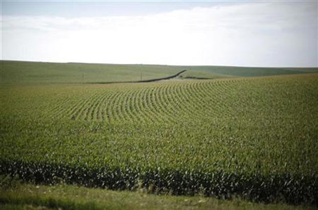 Giá đất nông nghiệp Mỹ tăng kỷ lục