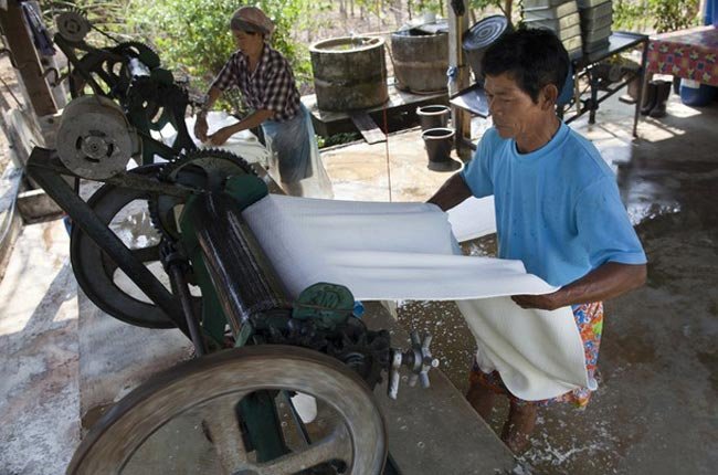 Thái Lan giảm cung để hỗ trợ giá cao su