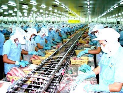 Công ty chứng khoán SSI mua cổ phiếu công ty thủy sản HVG
