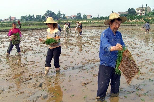 Trung Quốc tăng chuẩn nghèo tại nông thôn