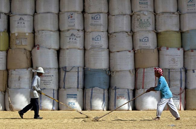 Giá gạo sẽ đạt 642,5 đô la Mỹ/tấn vào cuối năm