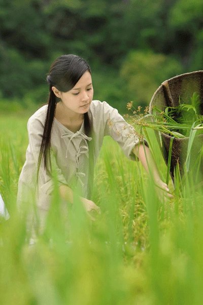 Thiên mệnh anh hùng