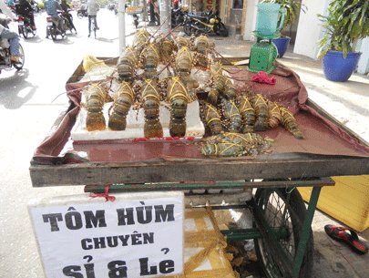 Tôm hùm trên đường phố Sài Gòn
