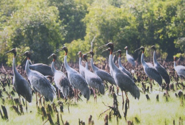 Giải trí cuối tuần từ 9-3 đến 11-3-2012