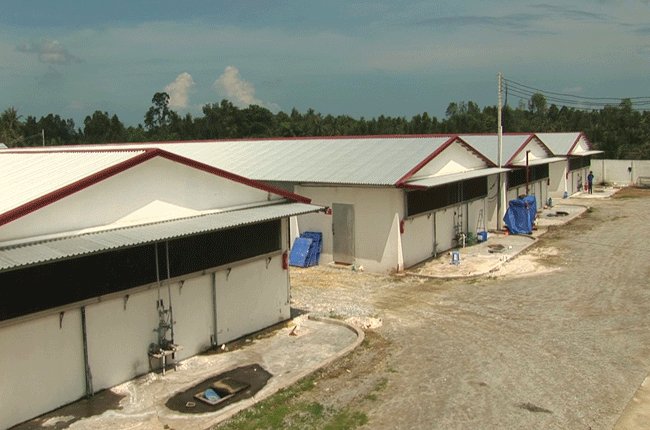 Ba Huân xây trại gà lớn ở Bình Dương