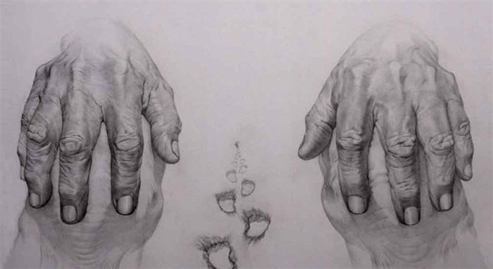 Những cuộc triển lãm tháng 6 Những cuộc triển lãm tháng 6