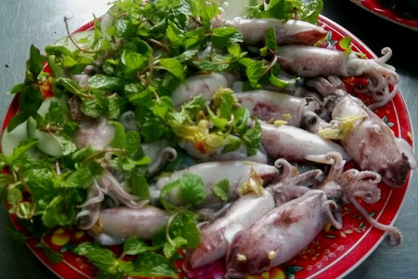 Mực cơm - món ngon miền biển ngày hè