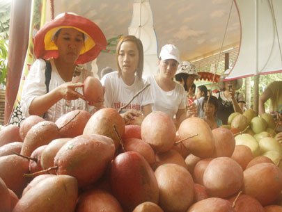 Sẽ thống nhất logo VietGap cho nông sản