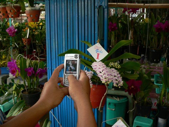 Thị trường điện thoại di động tiếp tục suy giảm