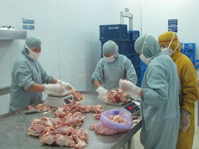 Hàn Quốc đính chính thông tin gà thải loại