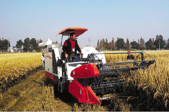 Nhập khẩu gạo của Trung Quốc tăng kỷ lục