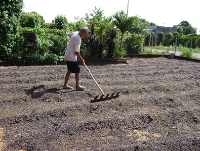 Xuất khẩu nông sản tăng mạnh về lượng