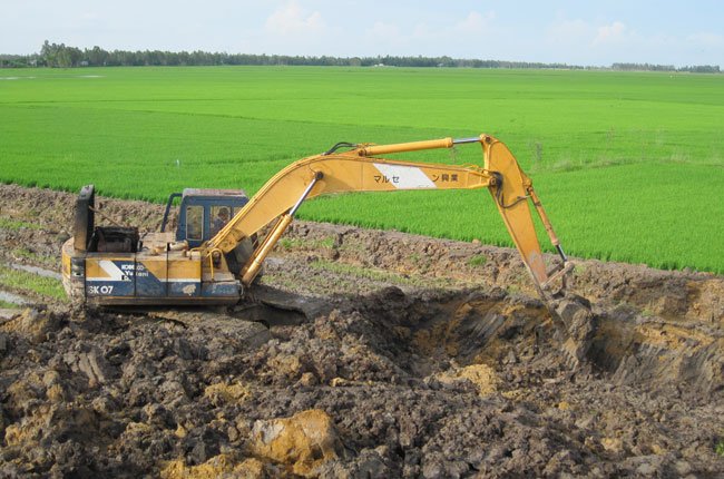 Chuyên gia: Lúa vụ 3 ở ĐBSCL mất nhiều hơn được