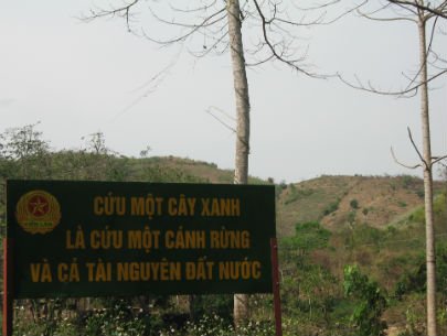 Thủy điện “nuốt” rừng nhiều hơn trồng lại