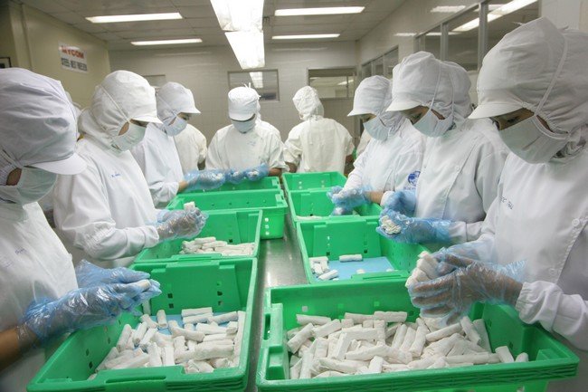 Lưc lượng lao động vẫn 