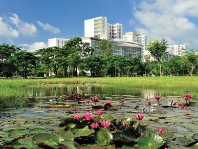Tầm vóc đô thị Phú Mỹ Hưng Tầm vóc đô thị Phú Mỹ Hưng