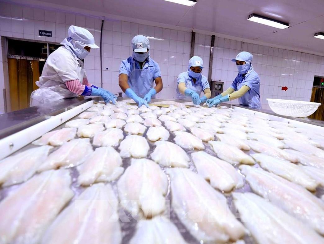 Xuất khẩu thuỷ sản năm 2021 tái lập mốc lịch sử năm 2018