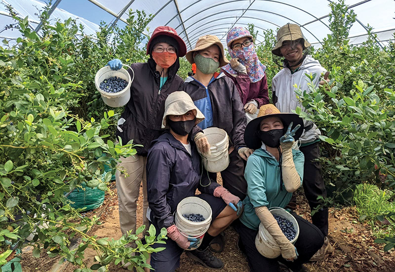 Tăng nông nghiệp của bạn bằng những mẹo này Đây là một phương pháp giúp nông nghiệp