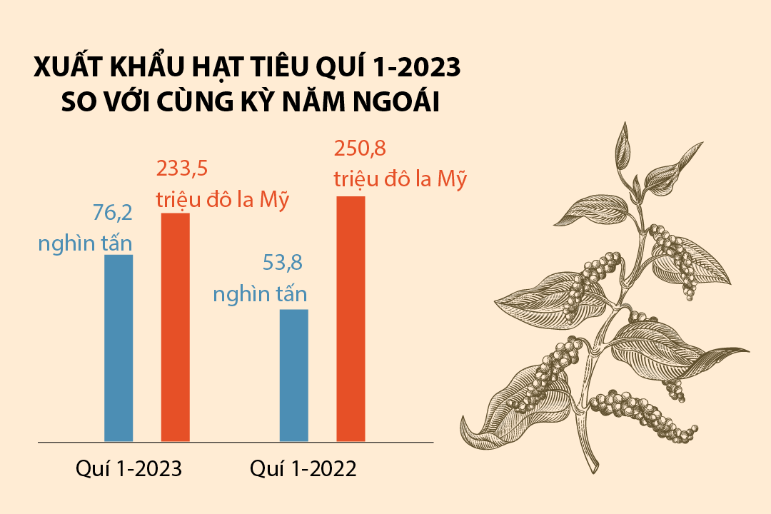 Xuất khẩu 'vàng đen' của Việt Nam tăng kỷ lục - Tạp chí Kinh tế Sài Gòn