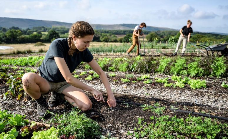 Nông nghiệp tái tạo hút tiền từ các quỹ đầu tư mạo hiểm - Tạp chí Kinh tế  Sài Gòn