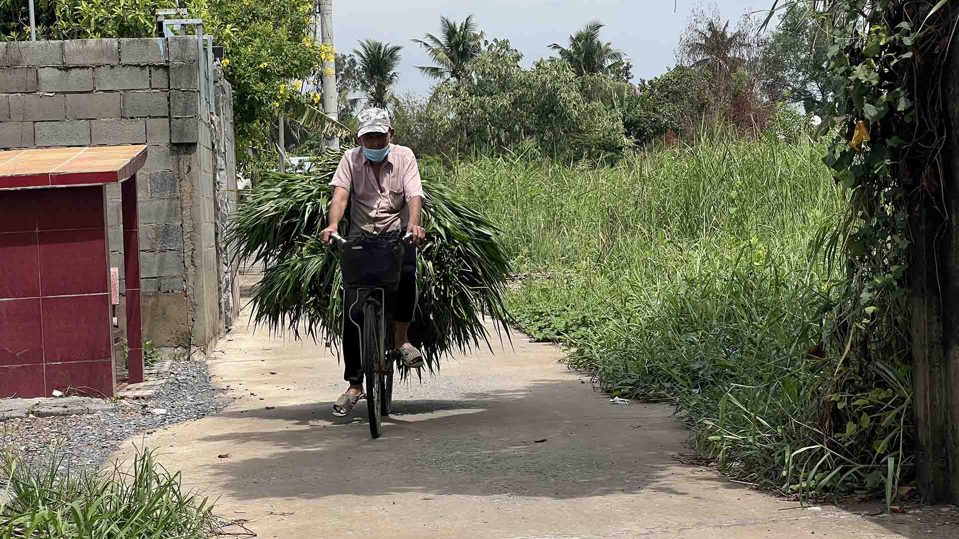 vành đai 2 TPHCM. Ảnh: Minh Hoàng