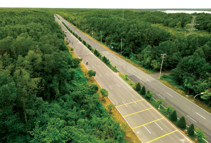 Đường vào Rừng Sác- Cần Giờ , nơi dự kiến xây Siêu cảng trung chuyển quốc tế Cần Giờ Ảnh: HP