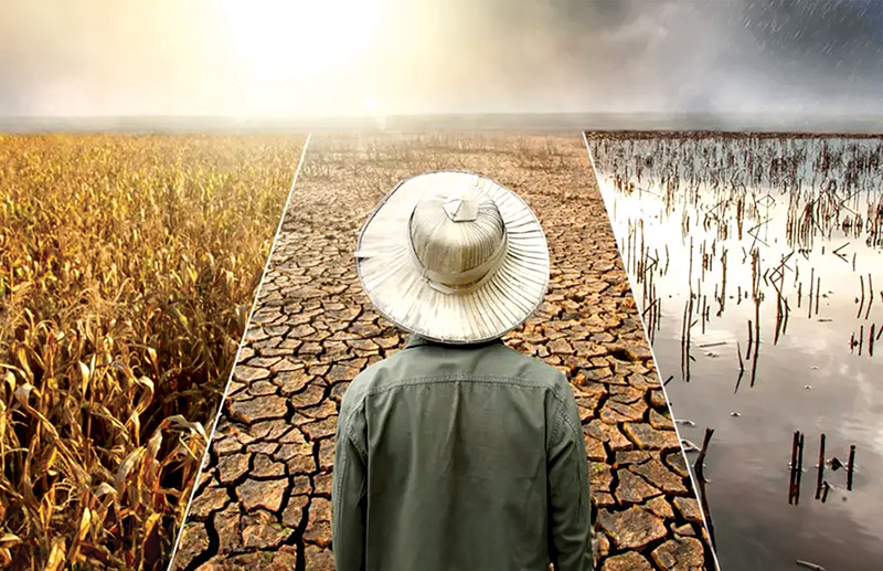 Vùng đất nơi thời tiết thay đổi cực vượt dự đoán – Microclimate bí ẩn 7 Thời tiết cực đoan và microclimate