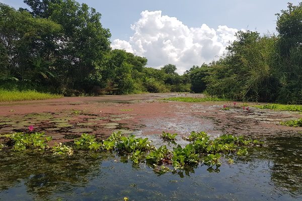 Có quyết định mới về khu bảo tồn thiên nhiên rộng hơn 2 . 800 héc ta ở Cần Thơ