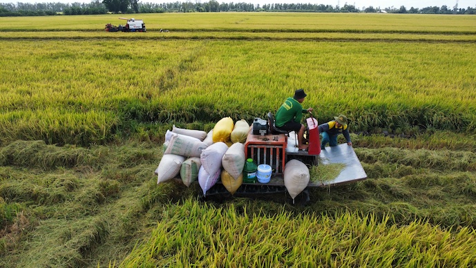 Căng thẳng Trung Đông thổi bùng 'cuộc chiến chi phí' trên đồng ruộng Việt