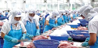 Những cổ phiếu cổ đông cô đặc